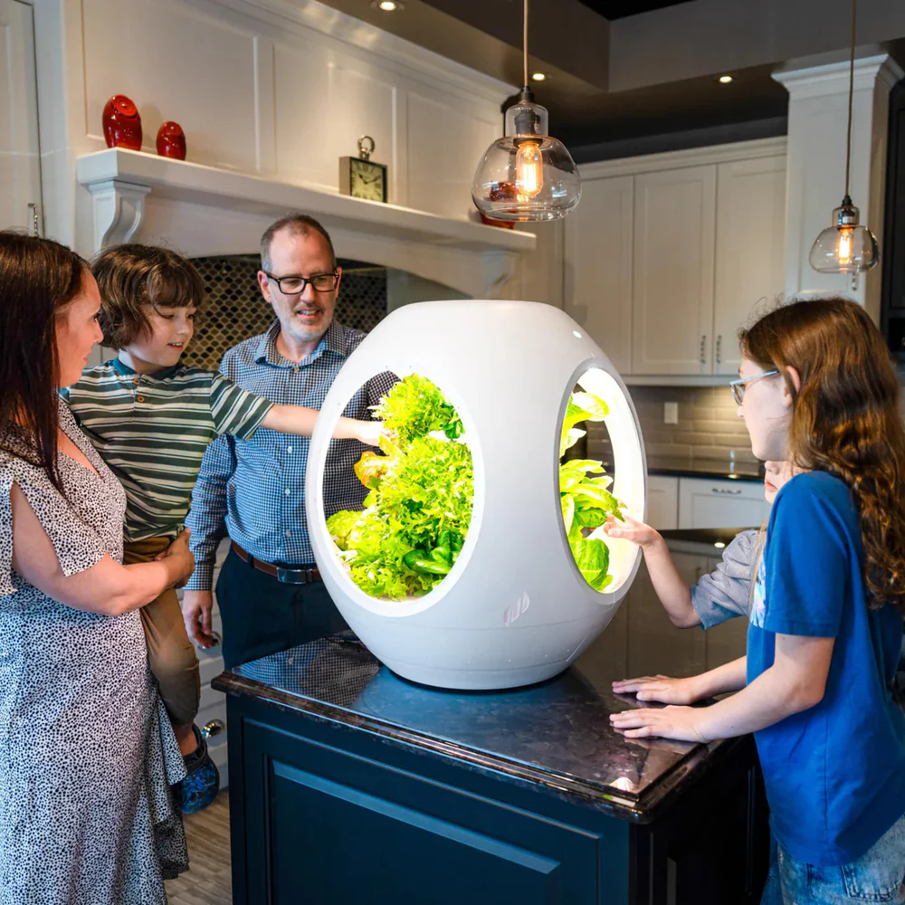 Master Your Indoor Jungle